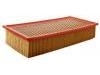 Air Filter:5C3Z-9601-AA