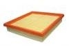 Air Filter:S21-1109111