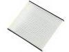 Filtre compartiment Cabin Air Filter:BWAW1116111C