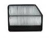 Air Filter:1109101D01