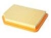 Air Filter:1109113A01