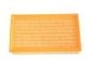 Air Filter:1109024120