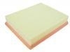 Air Filter:1109103-S0001