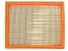 Air Filter:2461205