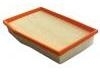 Air Filter:S60A-1109013